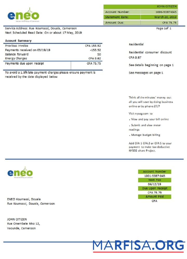 Blank Cameroon ENEO electricity utility bill real example
